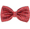 Papillon Rosso Corallo con Margherite Bianche