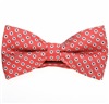 Papillon Rosso Corallo Margherite