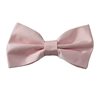 Papillon Rosa Audrey