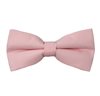 Papillon Rosa Chiaro