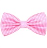 Papillon Rosa con Pois Bianchi
