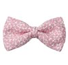 Papillon Rosa Paisley
