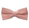 Papillon color salmone