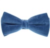 Papillon in Velluto Blu