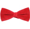Papillon in Velluto Rosso
