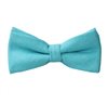 Papillon Turchese