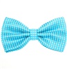 Papillon Turchese a Pois Bianchi