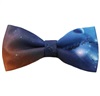 Papillon Universo-1