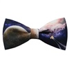 Papillon Universo-2