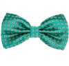 Papillon Verde con Margherite Bianche