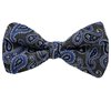 Papillon Verde Design Paisley Blu
