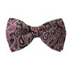 Papillon Verde Design Paisley Magenta