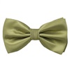 Papillon Verde Chiaro