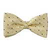 Papillon e Fazzoletto Giallo a Pois