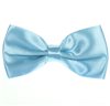 Papillon e Fazzoletto Celeste