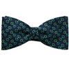Papillon e Fazzoletto Blu con Staffa Equitazione