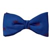 Papillon e Fazzoletto Blu Biciclette