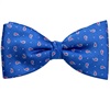 Papillon e Fazzoletto Blu con Cashmere Fucsia