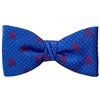 Papillon e Fazzoletto Blu con Teschi Rossi