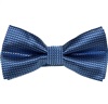 Papillon e Fazzoletto Blu a Quadretti