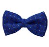 Papillon e Fazzoletto Azzurro con Fiori
