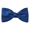 Papillon e Fazzoletto Blu con Pois
