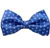 Papillon e Fazzoletto Azzurro con Margherite