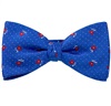 Papillon e Fazzoletto Azzurro con Rose Rosse