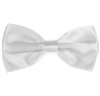 Papillon e Fazzoletto Bianco