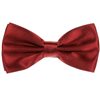 Papillon e Fazzoletto Bordeaux