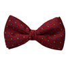 Papillon e Fazzoletto Bordeaux con Fiori