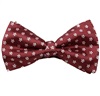 Papillon e Fazzoletto Bordeaux con Margherite
