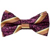 Papillon e Fazzoletto a Righe e Fiori