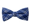 Papillon e Fazzoletto a Quadretti Blu