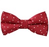 Papillon e Fazzoletto Bordeaux con Stelle Bianche