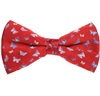 Papillon e Fazzoletto Bordeaux con Farfalle Blu