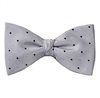 Papillon e Fazzoletto Grigio a Pois Blu