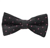 Papillon e Fazzoletto Grigio con Pois Rosa