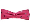 Papillon e Fazzoletto Magenta con Cashmere Blu