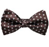 Papillon e Fazzoletto Marrone con Margherite