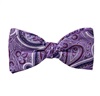 Papillon e Fazzoletto Viola Cashmere Lilla