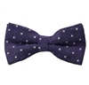 Papillon e Fazzoletto Viola a Pois Bianchi