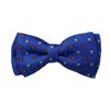 Papillon e Fazzoletto Bambino Azzurro Fiori