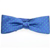 Papillon e Fazzoletto Bambino in Seta Blu con Pois Verdi
