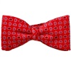 Papillon e Fazzoletto Rosso con Cashmere Blu