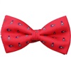 Papillon e Fazzoletto Rosso con Fermacravatta