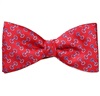 Papillon e Fazzoletto Rosso con Staffe Equitazione Blu