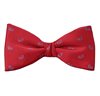 Papillon e Fazzoletto Rosso Paisley Blu