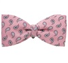 Papillon e Fazzoletto Rosa con Cashmere Grigio