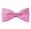 Papillon e Fazzoletto Rosa a Pois